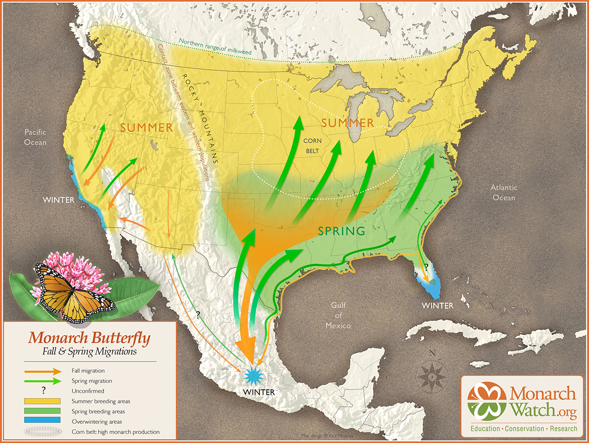 Monarch Watch Migration Map