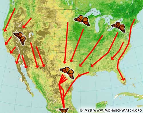 Monarch migration paths - from Monarch Watch