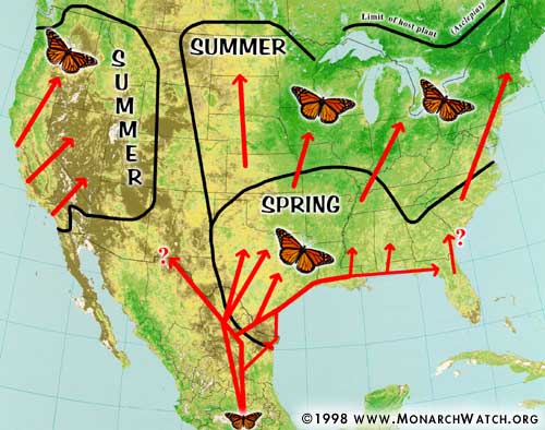 Spring Migration Map