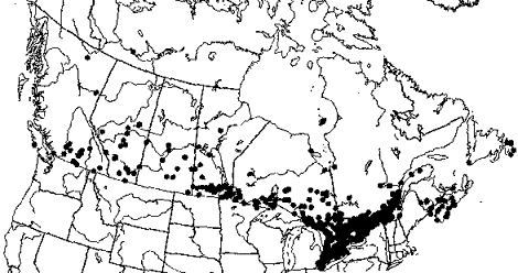 Milkweed Distribution Map