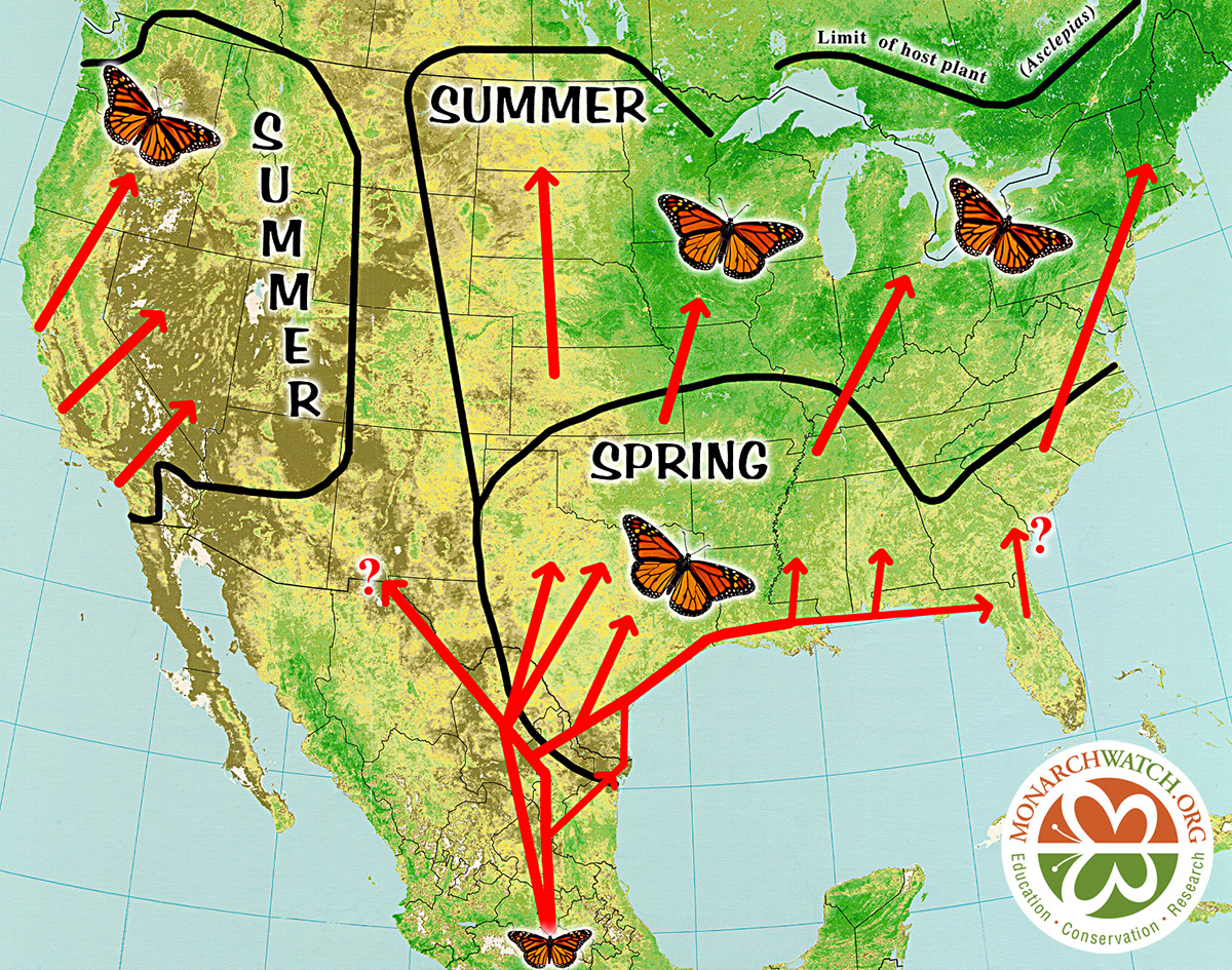 Spring Migration Map