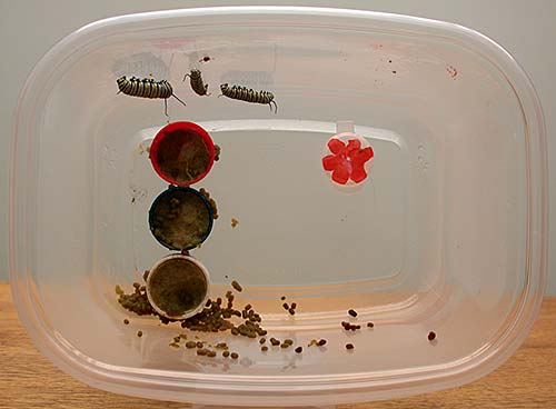 sample chamber 2