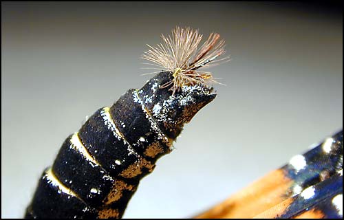 Hairpencil